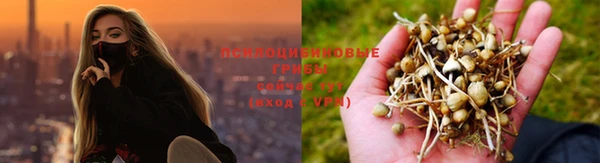 кокаин колумбия Новозыбков