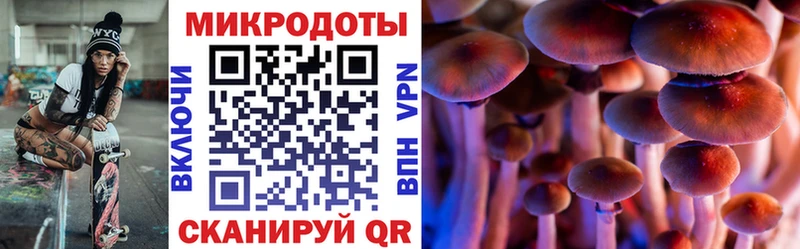 ОМГ ОМГ ссылки  Ветлуга  Псилоцибиновые грибы Magic Shrooms 